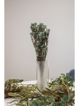 Rice Flowers Preservado | Flor de Arroz Decorativa para Ramos y Centros