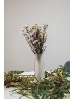 Rice Flowers Preservado | Flor de Arroz Decorativa para Ramos y Centros