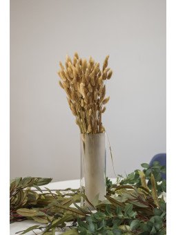 Lagurus Preservado | Cola de Liebre Decorativa para Ramos y Centros