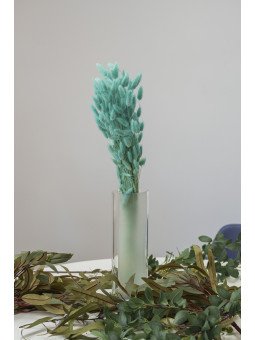 Lagurus Preservado | Cola de Liebre Decorativa para Ramos y Centros