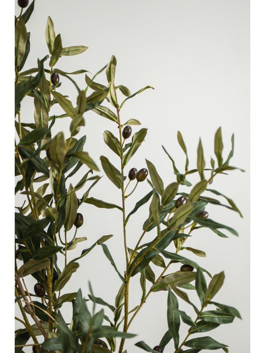 Árbol Olivo Artificial | 120–180 cm | Florjifran