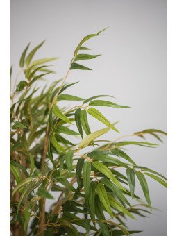 Bambú Artificial en Cañas Naturales | 120–180 cm