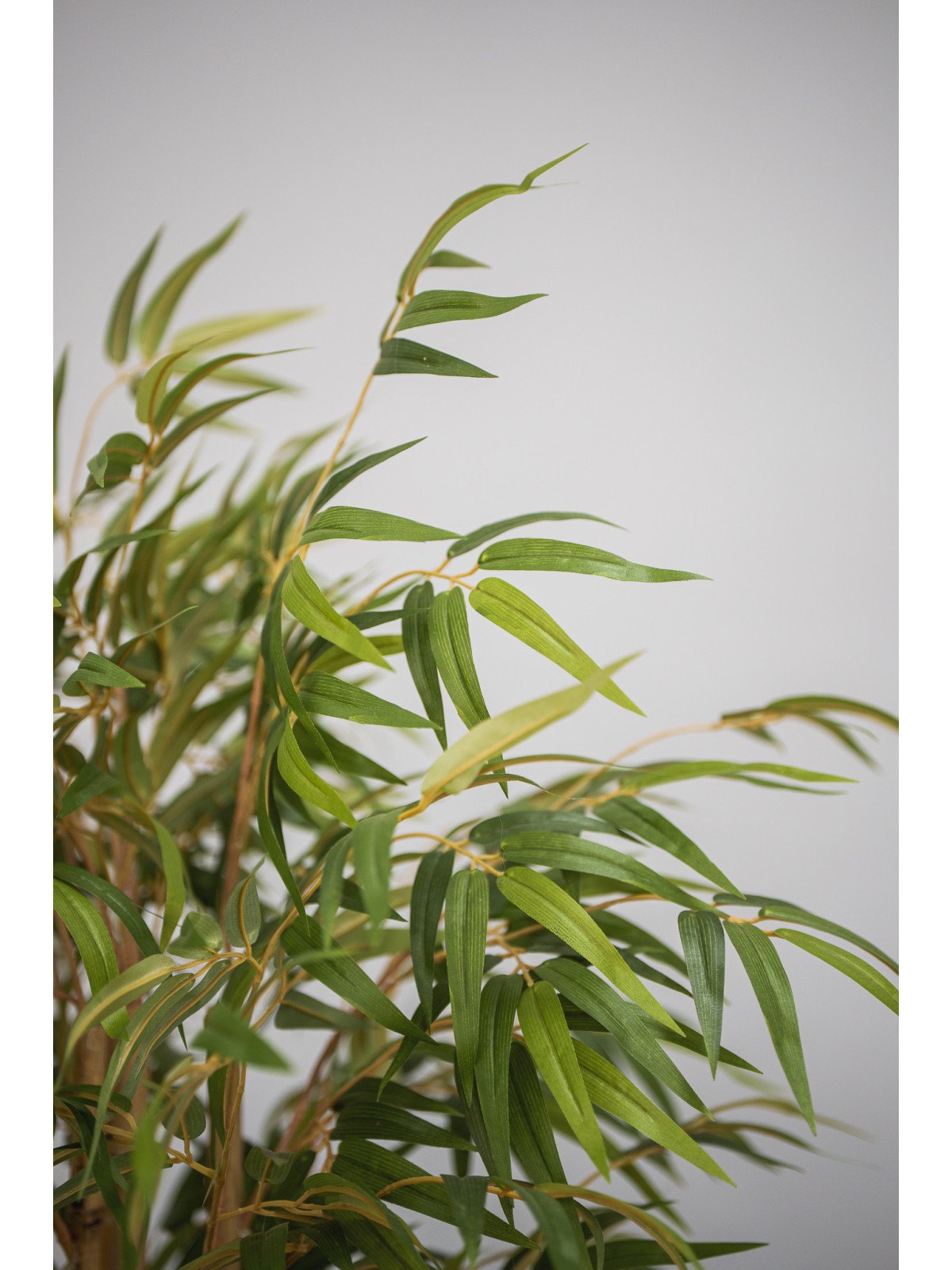 Bambú Artificial en Cañas Naturales | 120–180 cm