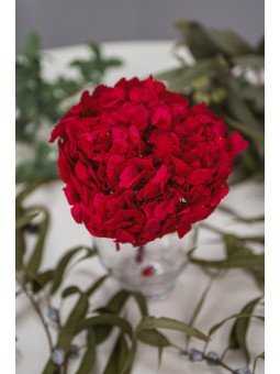 Hortensia Preservada Natural | Flor Voluminosa para Decoración y Arreglos