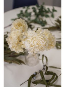 Hortensia Preservada Natural | Flor Voluminosa para Decoración y Arreglos