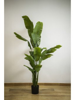 Esterlícia Artificial 180 cm | Planta Tropical Decorativa