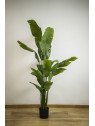 Esterlícia Artificial 180 cm | Planta Tropical Decorativa