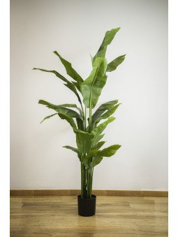 Esterlícia Artificial 180 cm | Planta Tropical Decorativa