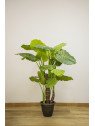 Caladium artificial 150 cm | Planta decorativa realista