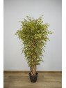Árbol Encina Artificial Otoñal | 150–180 cm | Florjifran