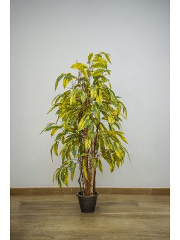 Árbol Acuba Amarilla y Verde Artificial | Florjifran