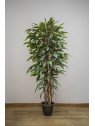 Árbol Acuba Verde Artificial | 120–180 cm | Florjifran