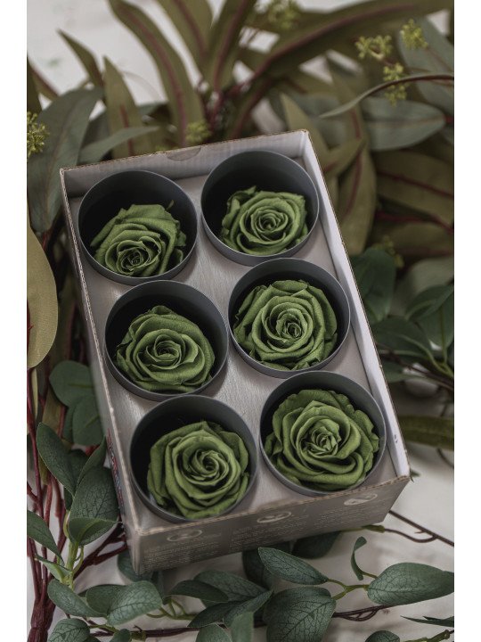 Rosa Estándar Preservada | Caja de 6 Unidades | Florjifran