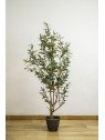 Árbol Olivo Artificial | 120–180 cm | Florjifran