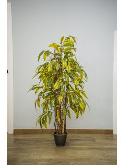 Árbol Acuba Amarilla y Verde Artificial | Florjifran