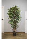 Árbol Acuba Verde Artificial | 120–180 cm | Florjifran