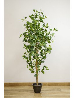 Árbol Magnolio Artificial | 150–180 cm | Florjifran