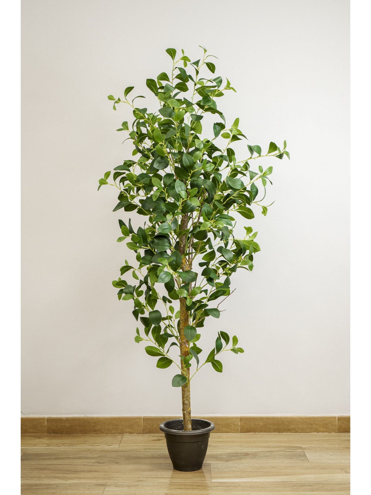 Árbol Magnolio Artificial | 150–180 cm | Florjifran