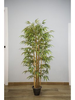 Bambú Artificial en Cañas Naturales | 120–180 cm