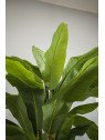 Bananera artificial 180 cm – Planta tropical decorativa
