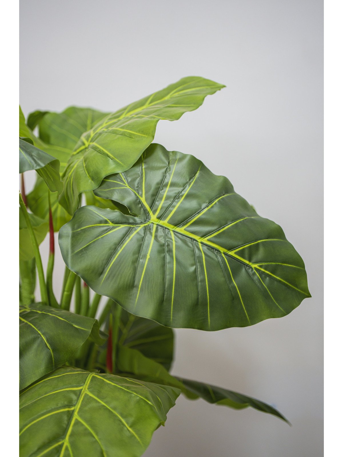 Caladium artificial 150 cm | Planta decorativa realista