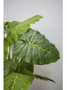 Caladium artificial 150 cm | Planta decorativa realista