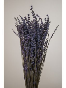 Lavanda Preservada Natural | Decoración Floral Duradera y Sin Mantenimiento