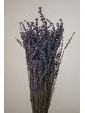 Lavanda Preservada Natural | Decoración Floral Duradera y Sin Mantenimiento