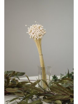 Botao Preservado Blanco | Complemento Floral Aterciopelado para Decoración