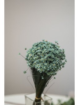 Glixia Preservada Natural | Flor Pequeña para Decoración y Arreglos