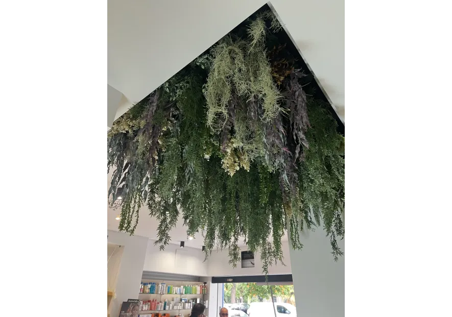 Decoración vegetal interior en farmacia | Florjifran