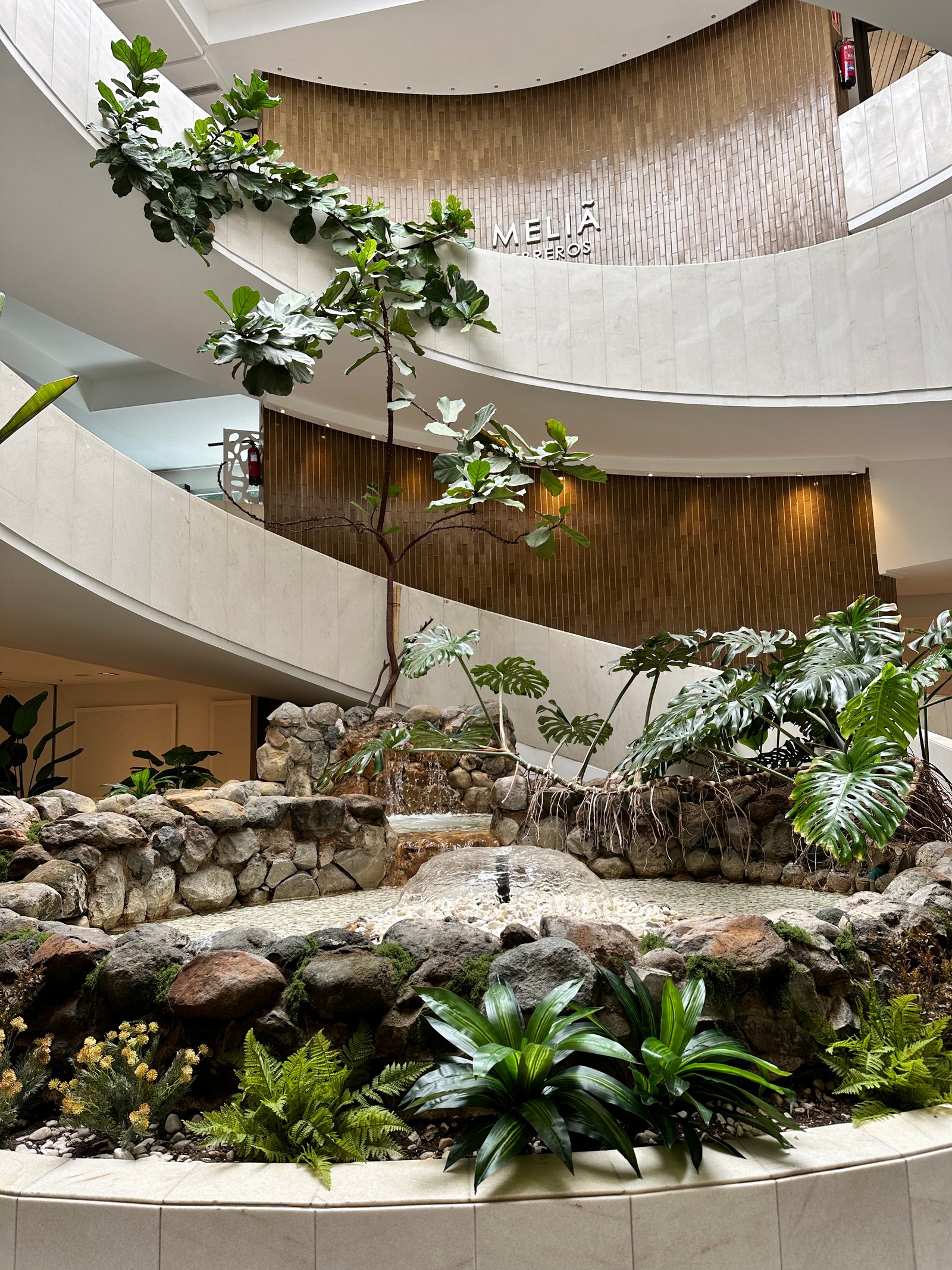 Diseño vegetal con rocas y helechos en zona central del hotel