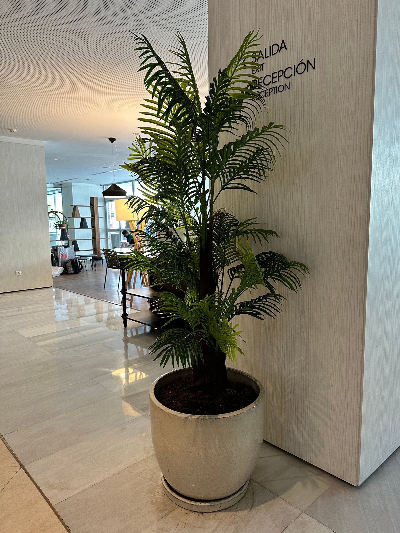 Palmera decorativa en macetero en hall del hotel
