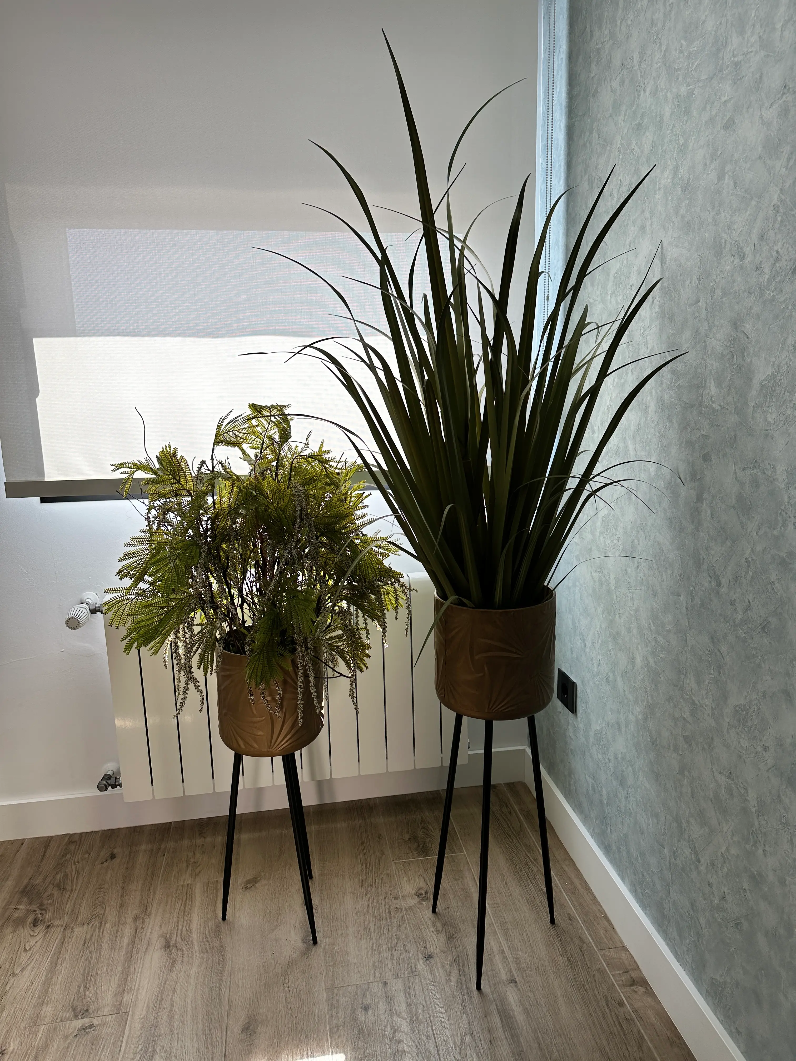 Plantas decorativas en maceteros altos para salón