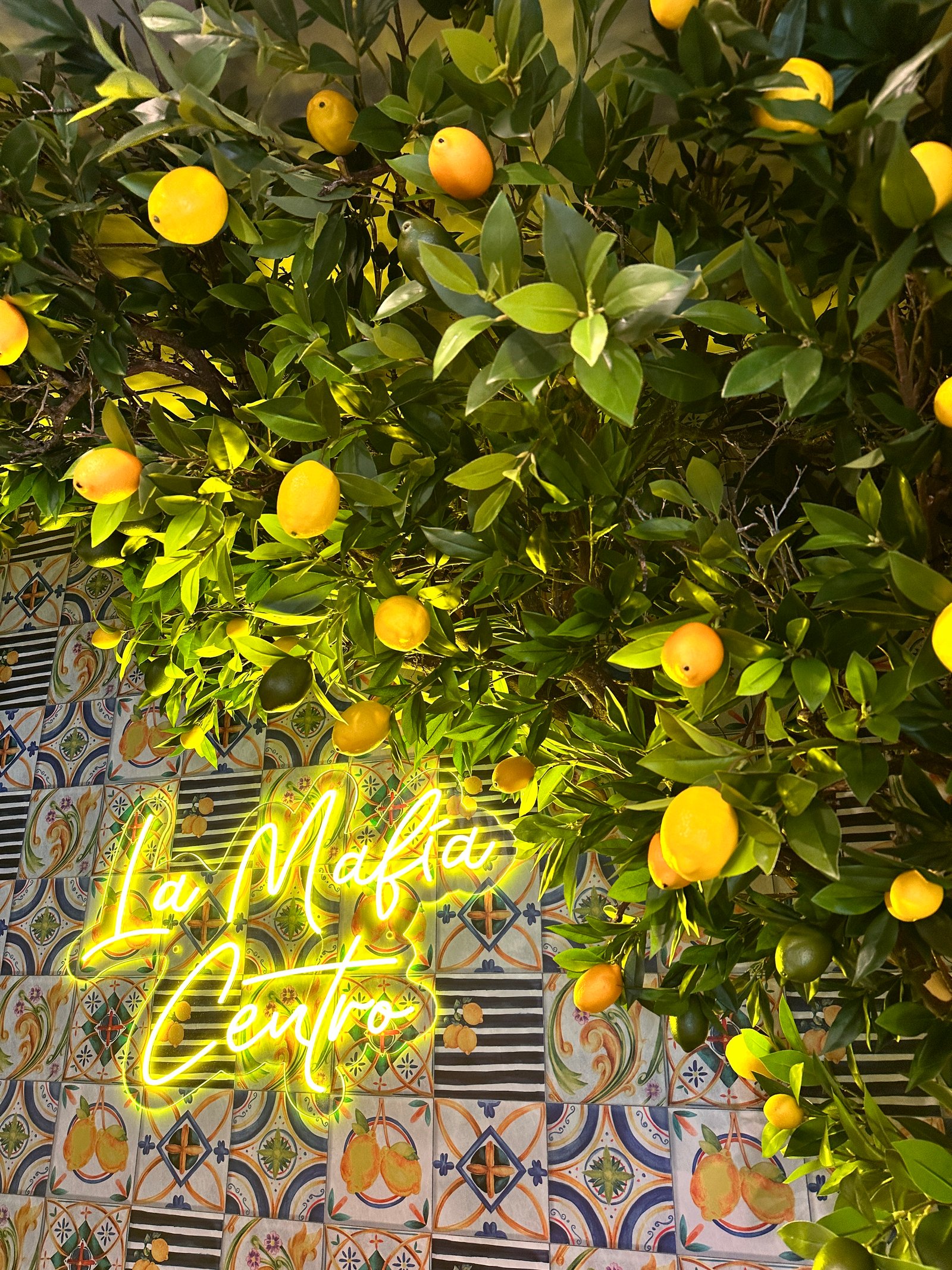 Limonero decorativo en interior de restaurante