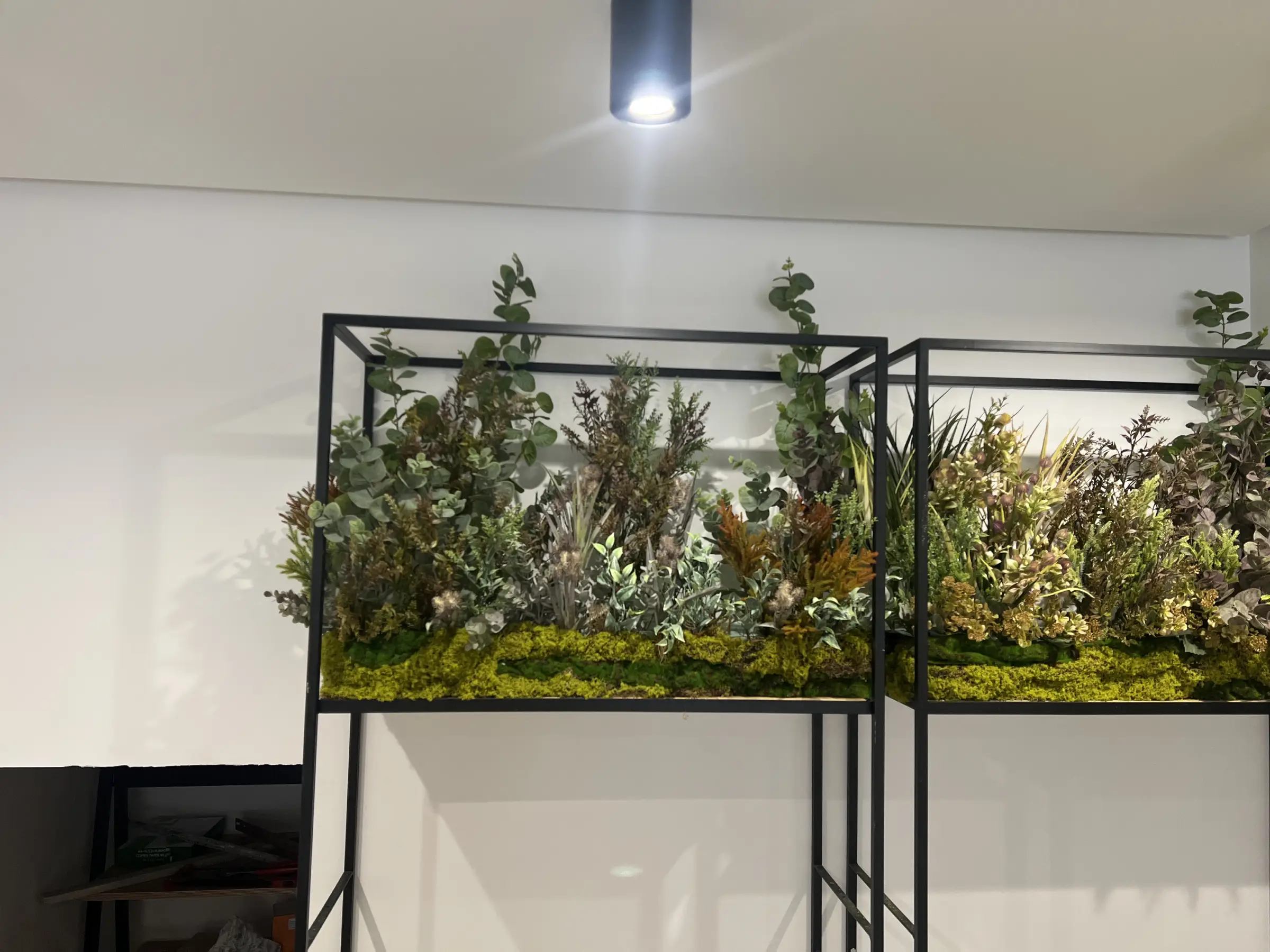 Composición vegetal decorativa en estructura metálica para interior de farmacia, vista lateral