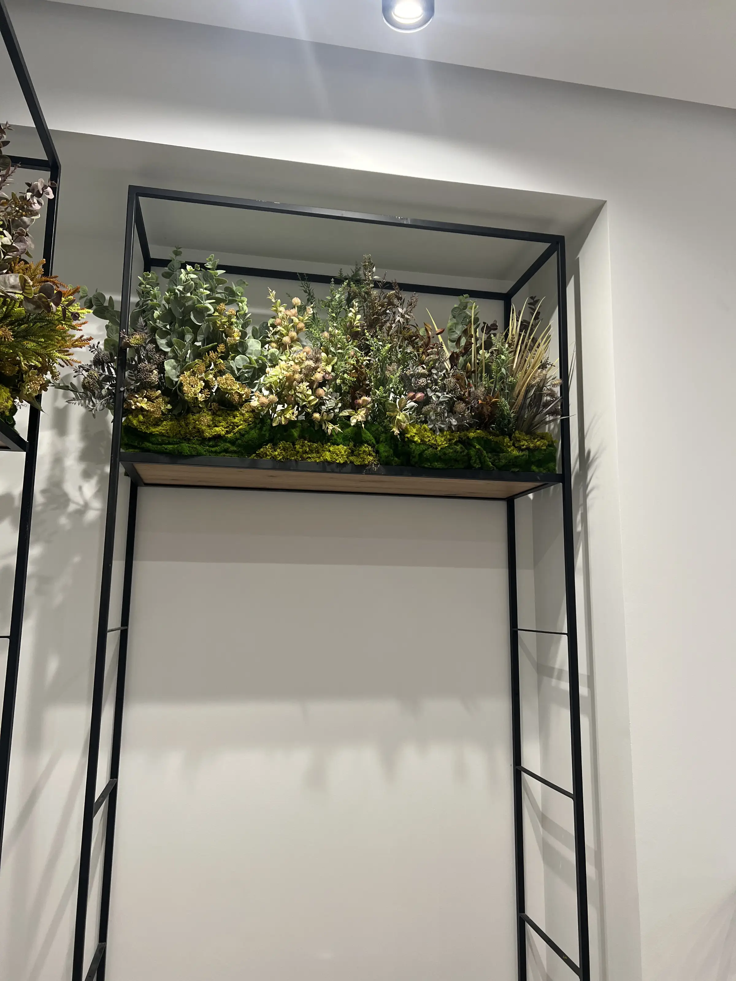 Detalle del techo verde colgante con vegetación artificial premium en farmacia